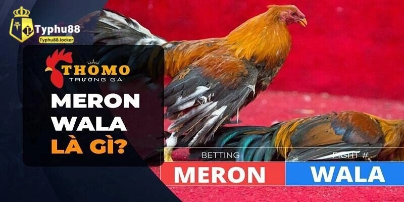 Sự khác biệt của kèo Meron và Wala