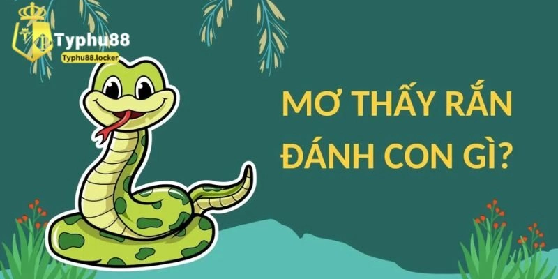 Nằm mơ thấy rắn đánh con gì? Những mã may mắn hay gặp 